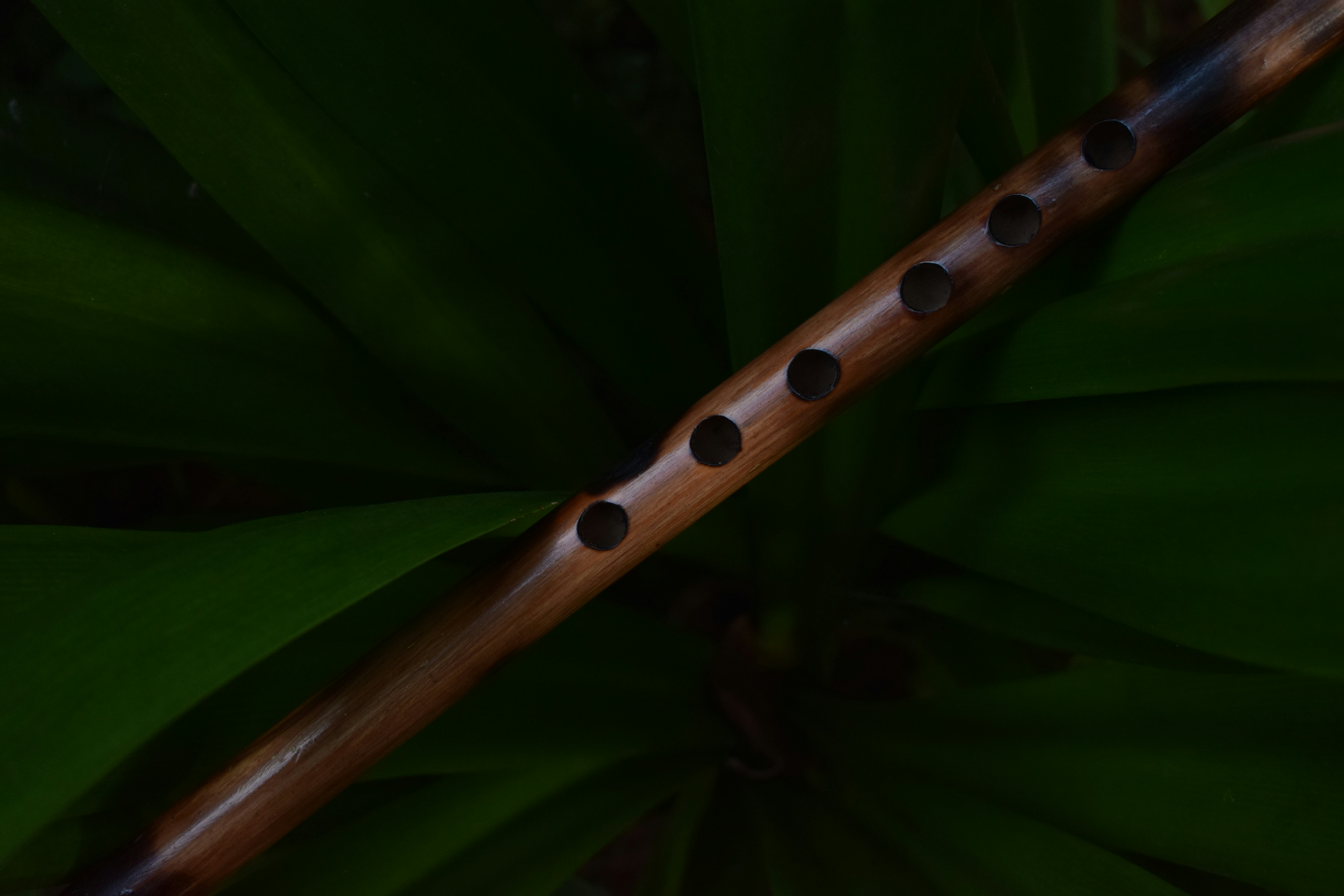 Krishna Flute